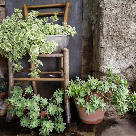 House With Stunning Views Casa vacanze *