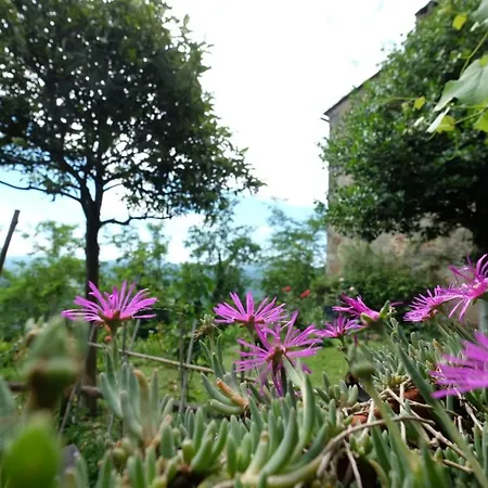 Casa vacanze House With Stunning Views