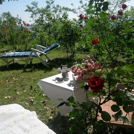 House With Stunning Views * Chiusdino