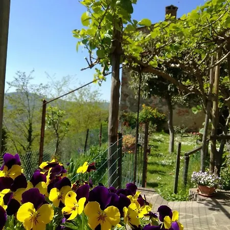 House With Stunning Views Chiusdino