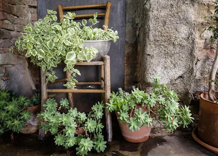 House With Stunning Views 別荘 *