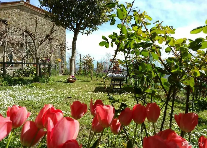 別荘 House With Stunning Views